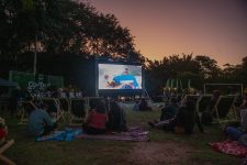 cinema-de-gratuito-no-parque-da-luz-no-sabado,-9-de-novembro